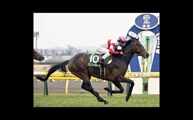 日本ダービーでジオグリフ以上にダノンベルーガに魅力を感じるわけ。「もはや古傷のことは気にしなくていい」