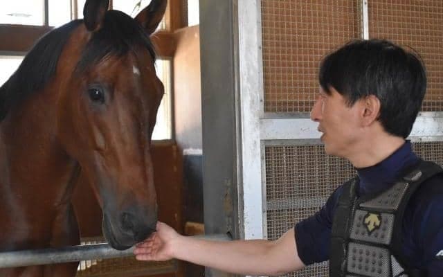 クリンチャーなど、先週の入厩情報/栗東トレセンニュース