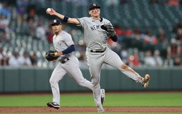 【MLB】妥当か大甘か　不適切発言のヤンキース・ドナルドソンに1試合の出場停止処分　機構は人種差別かどうか踏み込まず