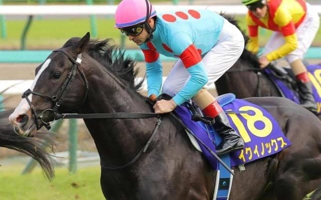 【日本ダービー予想オッズ】イクイノックスが予想1番人気