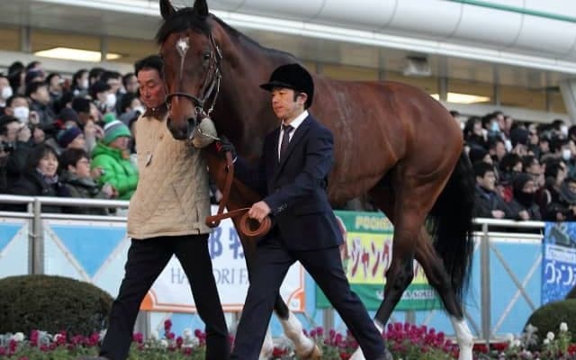 【海外競馬】豪G1・3連勝のヒトツが左前脚繋靭帯損傷により年内全休　父は2015年JRA年度代表馬モーリス