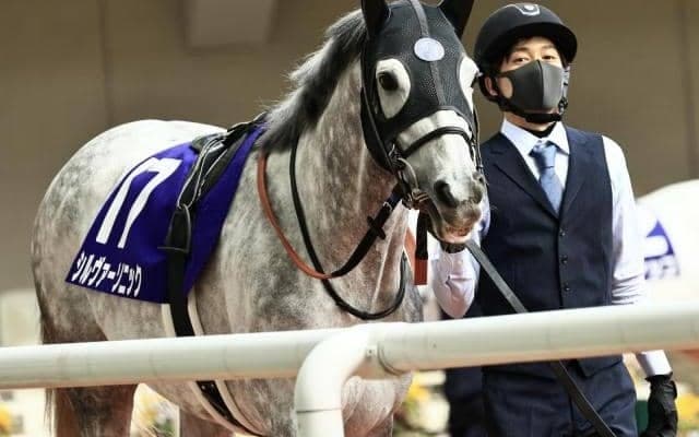 【目黒記念予想オッズ】シルヴァーソニックが予想1番人気