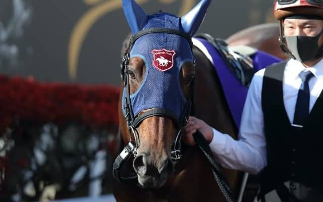 【地方競馬】大井のモジアナフレイバーが引退　大井記念など重賞4勝、DG競走でも活躍