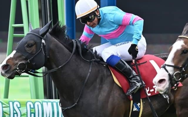 【日本ダービー 注目馬(7)】ビーアストニッシド檜舞台へ その背にタカラジェンヌの夢を乗せ