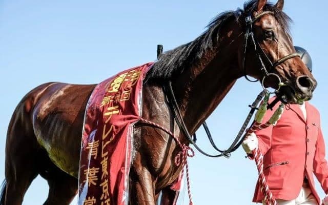 【日本ダービー展望】競馬の祭典、あのディープインパクト産駒に期待したい