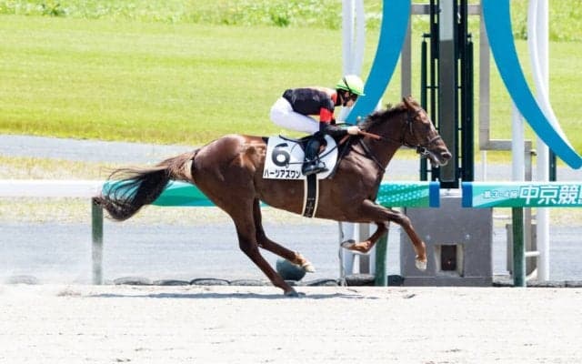 【中京6R】ハーツアズワンが4馬身差で完勝