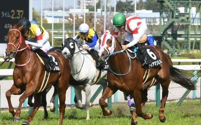 【目黒記念展望】差し追い込み馬の台頭が期待できるレース