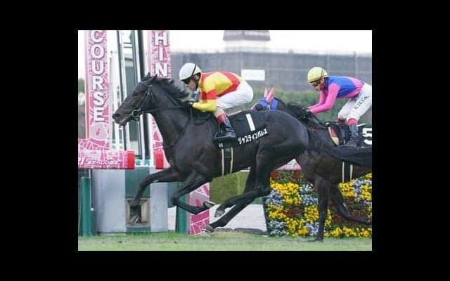 日本ダービーで狙うべきディープインパクト産駒は？　６連勝と勢い続く「キンカメ系」も見逃せない