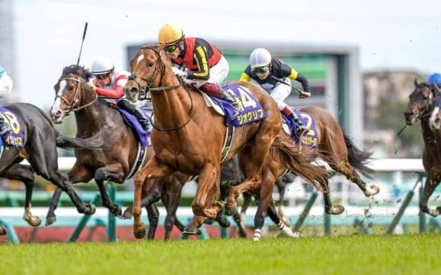 【日本ダービー枠順確定】ジオグリフは7枠15番、イクイノックスは大外8枠18番