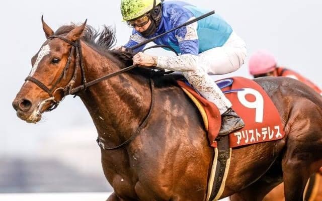 【目黒記念出走馬・騎手確定】アリストテレス＆武豊騎手、マカオンドール＆松山弘平騎手など18頭