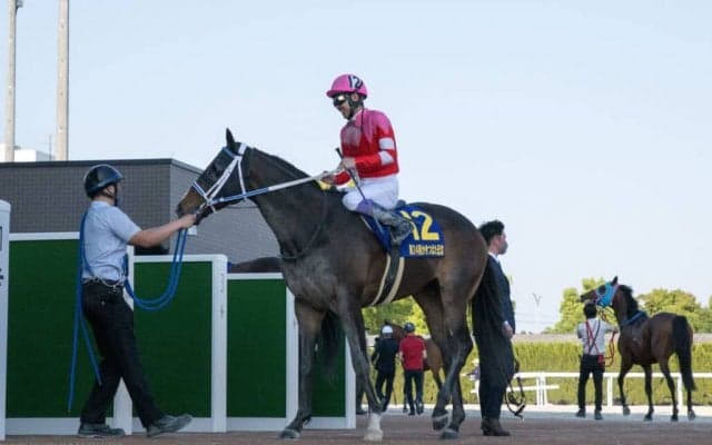 【さきたま杯】JRA出走予定馬