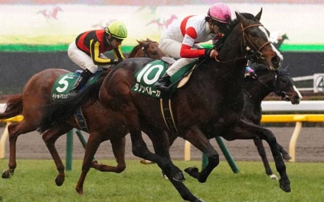 【日本ダービー】出走馬の調教後の馬体重