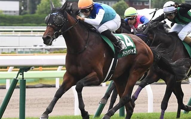 【次走】アドマイヤジャスタは鳴尾記念へ 約10カ月ぶりの復帰