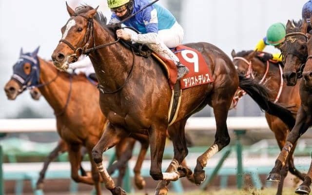 【目黒記念枠順確定】アリストテレスは7枠15番、マカオンドールは7枠13番