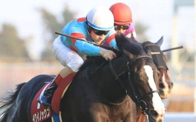 【日本ダービー】イクイノックスは大外へ