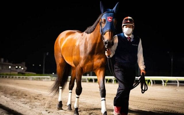 モジアナフレイバーが引退