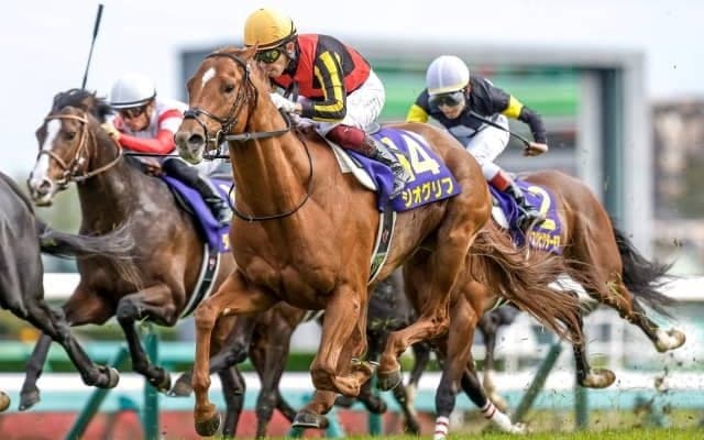 【日本ダービー予想】メンバーレベルが高い皐月賞組を重視しつつ着順は入れ替わる