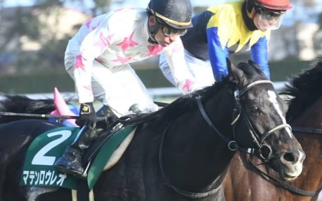 【日本ダービー 注目馬(16)】マテンロウレオ獅子奮迅 若武者とともに挑む夢の舞台
