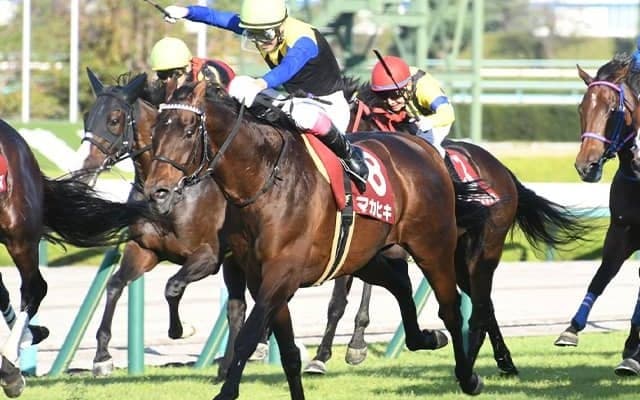【次走】2016年ダービー馬マカヒキは札幌記念への参戦を視野に