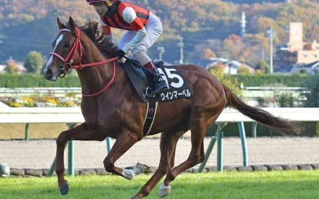 【今日の注目ポイント】中京で3歳スプリント重賞・葵S