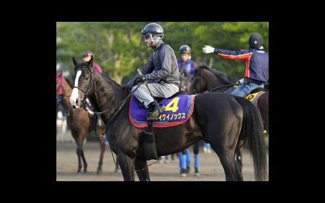 日本ダービーでは人馬の信頼関係が不可欠。愛馬ととも成長してきた若武者の一発に期待