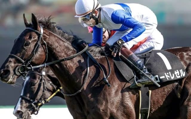 【日本ダービー 注目馬(17)】ロードレゼルいざダービーへ　名手の手綱で”両翼”広げる