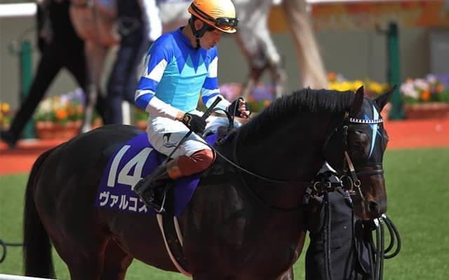 【次走】ヴァルコスは新潟記念への参戦を視野に 叔父は三冠馬ディープインパクト