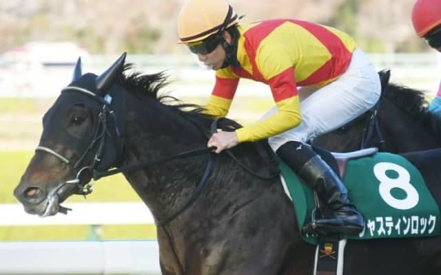 【日本ダービー 注目馬(18)】ジャスティンロック大一番へ　夢の舞台へ掴んだ好機