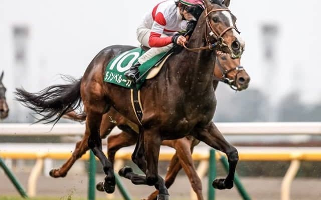 【日本ダービー前日オッズ】ダノンベルーガが3.7倍で1番人気、皐月賞上位が人気を分け合う