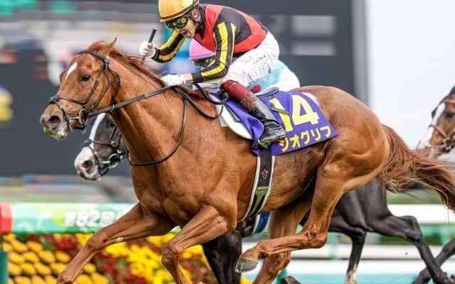 【今日の注目ポイント】競馬の祭典・日本ダービー、最終は伝統のハンデ戦・目黒記念