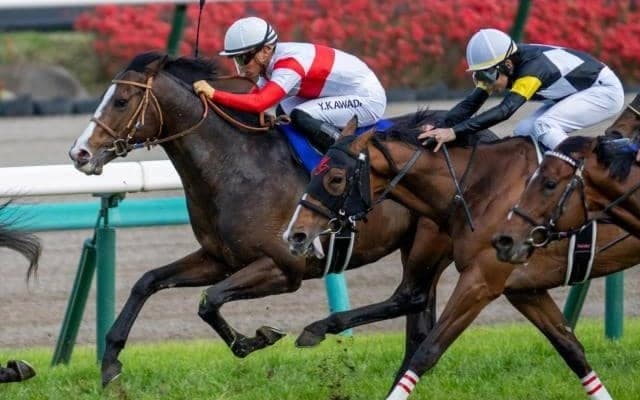 【日本ダービー予想】すべてのホースマンが憧れる舞台、皐月賞の雪辱誓う共同通信杯覇者