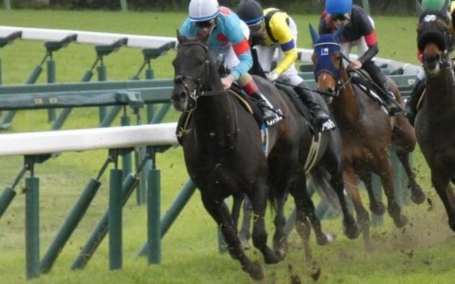 【目黒記念予想】ダービーの後は毎年恒例、伝統のハンデ重賞