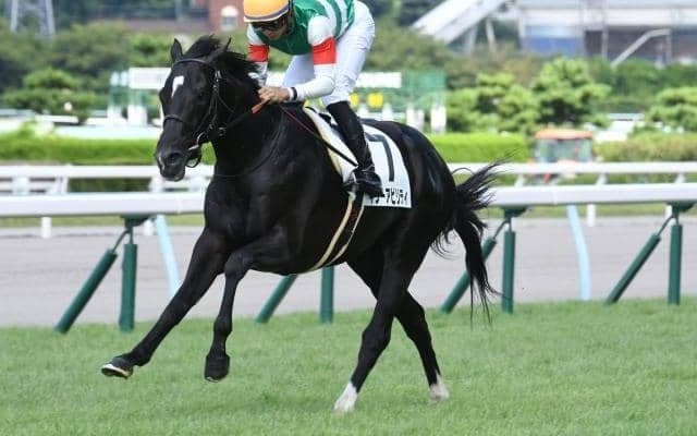 【日本ダービー予想】4連勝中のディープ産駒は今年も強い？ 1枠だけじゃない好走枠＆勝馬出ていない枠は？