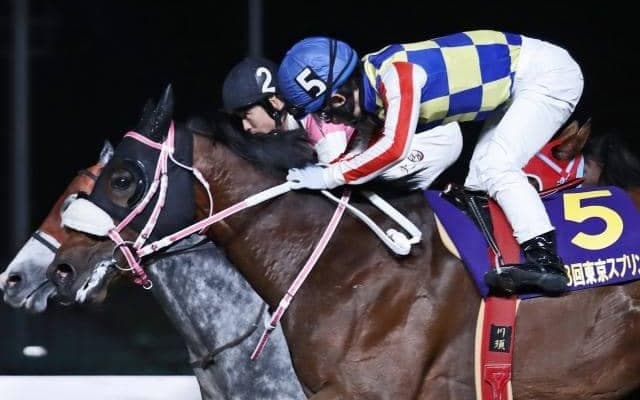 【浦和・さきたま杯枠順確定】シャマルは6枠6番、ヘリオスは4枠4番