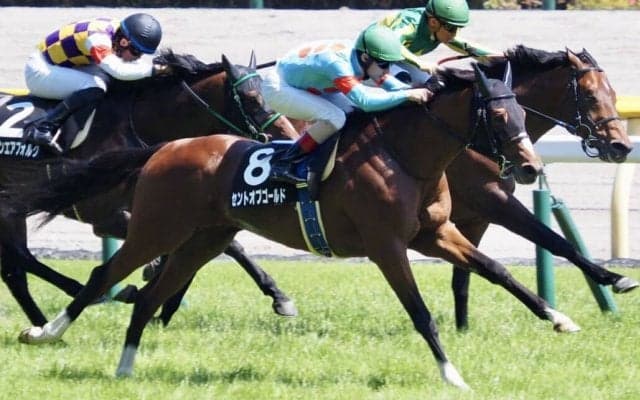 【青嵐賞】ルメール騎乗 セントオブゴールドが快勝