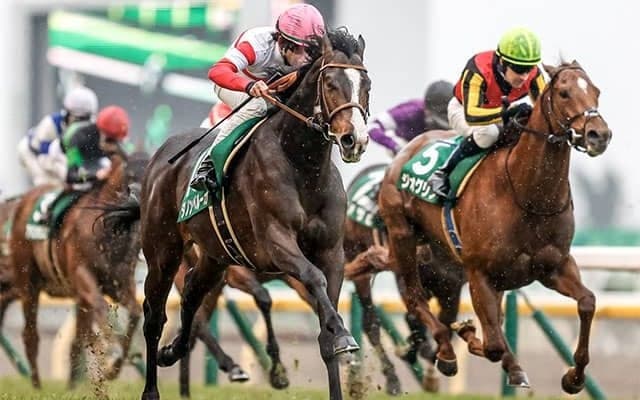 【日本ダービー・馬体重】ダノンベルーガは494kg(-10)、ドウデュースは490kg(-6)