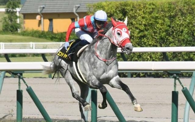 【安土城S結果】エントシャイデンが帰国初戦を逃げ切り2年ぶりのV