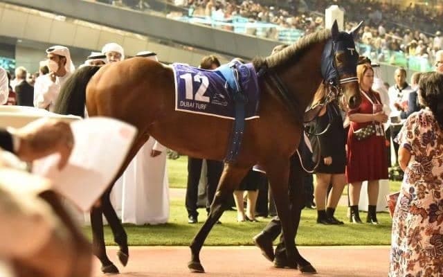 春のマイル王決定戦・安田記念、2歳新馬戦スタートなど/今週の競馬界の見どころ