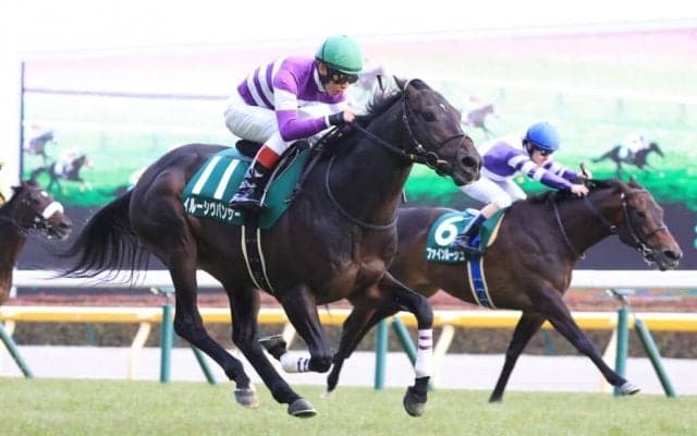 【安田記念登録馬】イルーシヴパンサーなど21頭