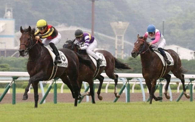 【鳴尾記念登録馬】ヴェルトライゼンデなど12頭