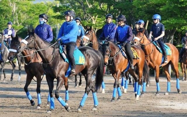 コマンドラインの半妹エルダーサインがC.ルメール騎手でデビュー/関東馬メイクデビュー情報