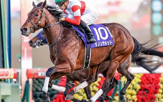 【AI予想・安田記念】東京1600mで「世代最強馬」復活!? マイルで狙えるコンビの妙味