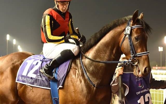 【安田記念想定騎手】シュネルマイスターはC.ルメール騎手、イルーシヴパンサーは田辺裕信騎手