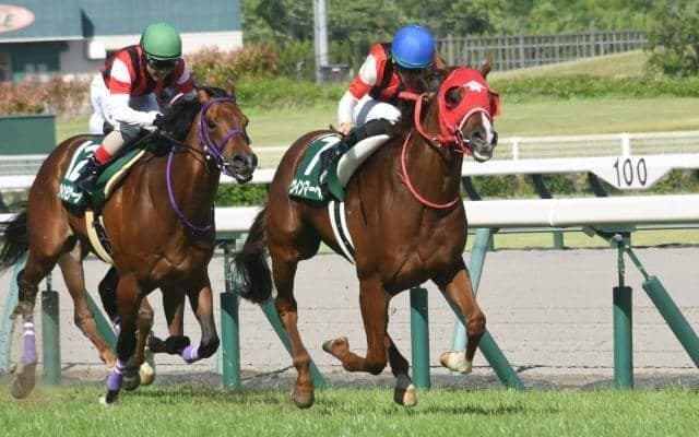 ダート勝ち星が芝の3倍以上アイルハヴアナザー産駒 芝の重賞初制覇