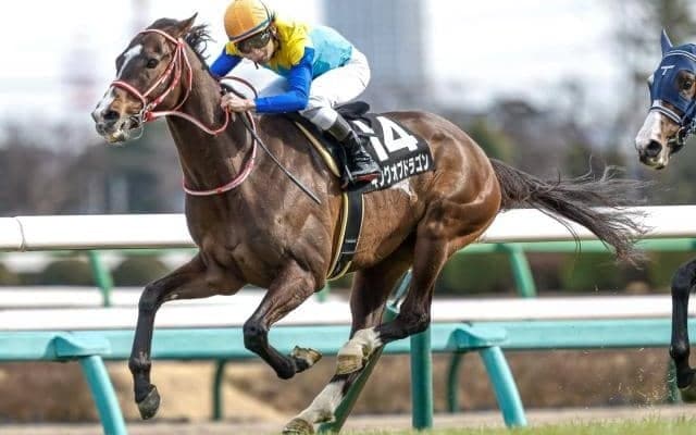 【鳴尾記念展望】好走傾向に合うあの馬の巻き返しを期待したい