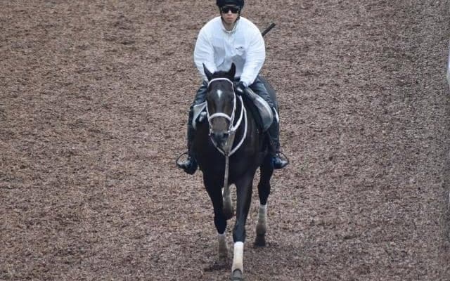 ディープボンドなど、先週の入厩情報/栗東トレセンニュース