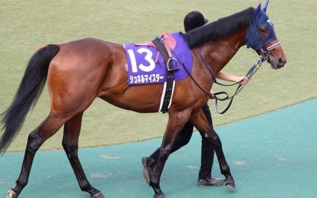【安田記念予想オッズ】前年3着のシュネルマイスターが予想1番人気