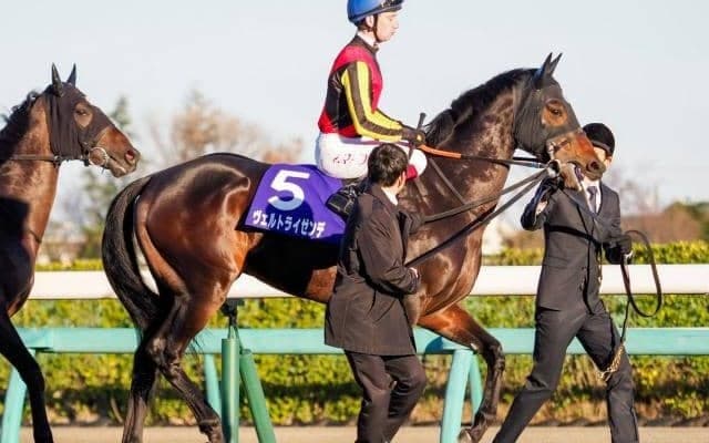【鳴尾記念予想オッズ】長欠明けのヴェルトライゼンデが予想1番人気