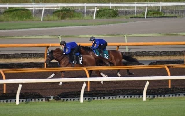 ダイヤモンドハンズなど、新馬戦最終追い切りレポート/栗東トレセンニュース