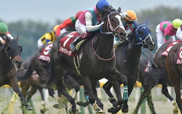 【エプソムC想定】府中牝馬Sの覇者シャドウディーヴァ、連覇を目指すザダルなど